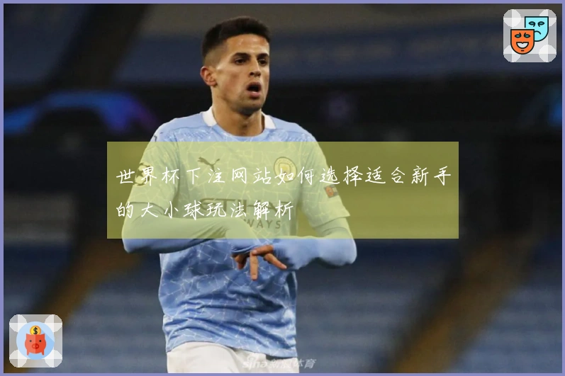 世界杯下注网站如何选择适合新手的大小球玩法解析