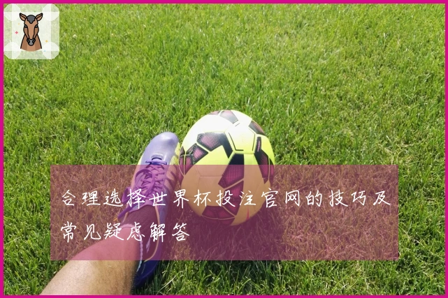 合理选择世界杯投注官网的技巧及常见疑虑解答