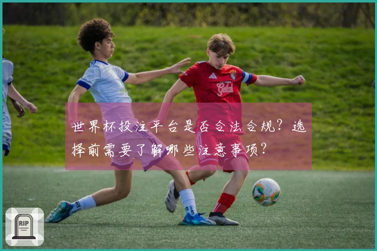 世界杯投注平台是否合法合规？选择前需要了解哪些注意事项？