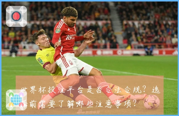 世界杯投注平台是否合法合规？选择前需要了解哪些注意事项？