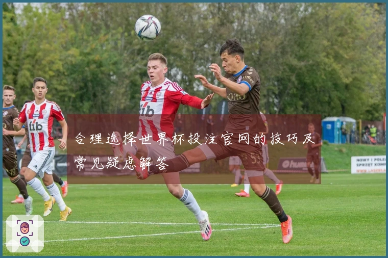 合理选择世界杯投注官网的技巧及常见疑虑解答
